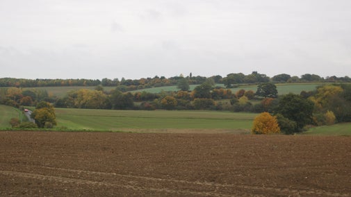 Countryside around Melford Hall in Suffolk